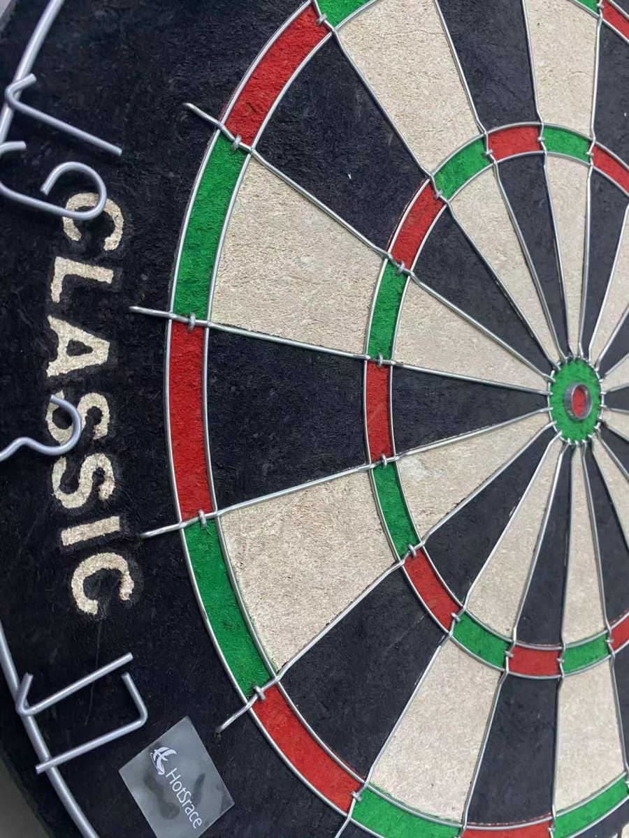 Hotsrace Dart Board